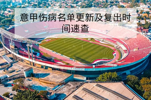 意甲伤病名单更新及复出时间速查